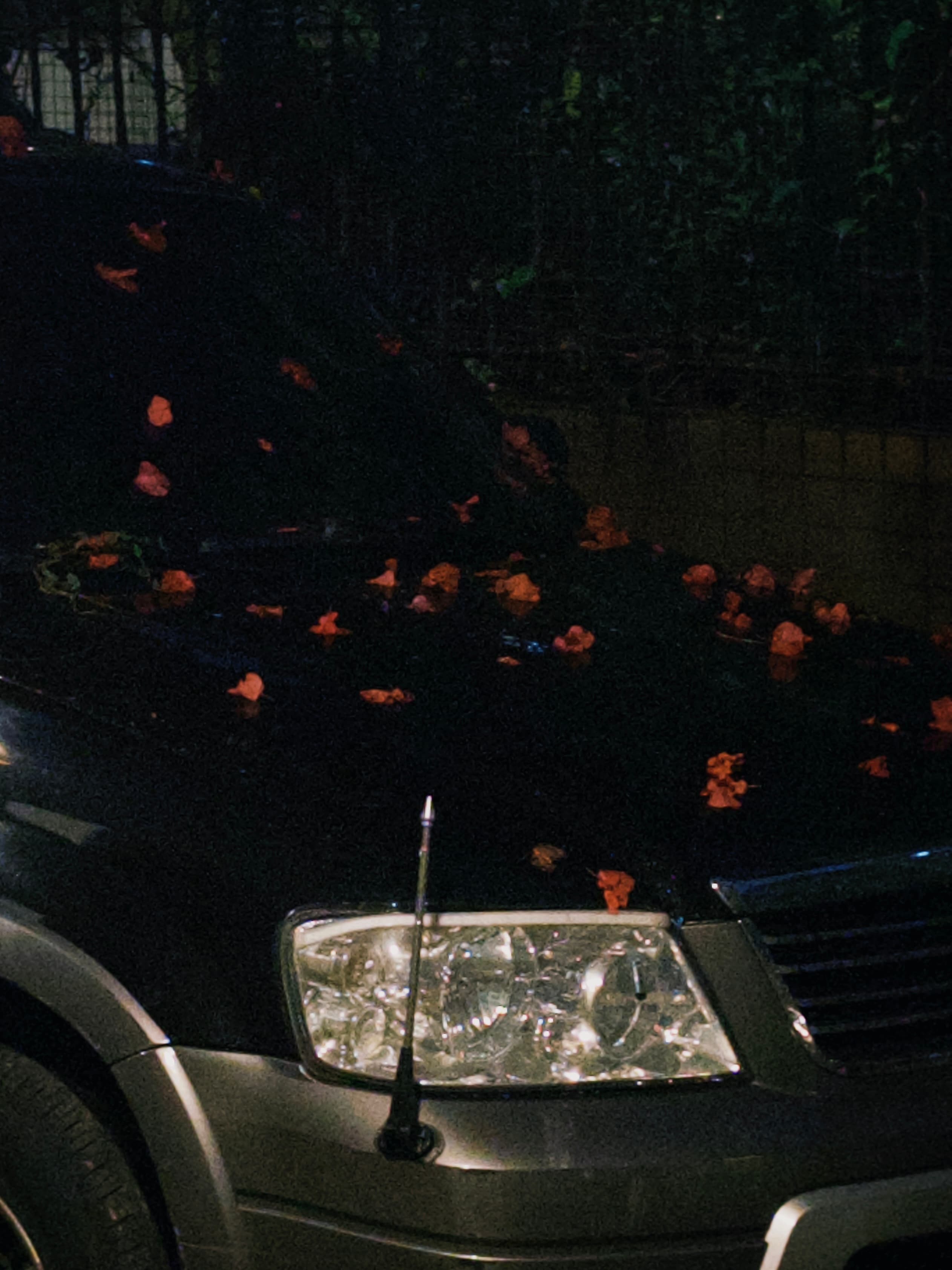 夜雨後台北南機場夜市旁的巷弄,橘紅色花瓣散落在路燈照亮的黑色車頂引擎蓋上